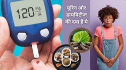 डायबिटीज है और पेशाब आता है रुक-रुक कर, तो इन 2 आयुर्वेदिक जड़ी-बूटियों से पाएं राहत, आयुर्वेद विशेषज्ञ की खास सलाह