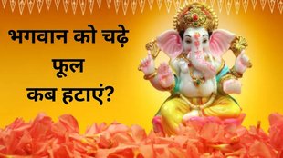 vastu tips for removing flowers from home temple, when to remove flowers from puja room, vastu rules for flowers in home temple, how long to keep flowers in puja room, vastu tips for temple maintenance, removing old flowers from pooja room, vastu dos and donts for puja flowers, temple flower removal time vastu, auspicious time to remove flowers from temple, vastu tips, vastu shastra, vastu tips for flowers, flowers ke liye vastu shastra