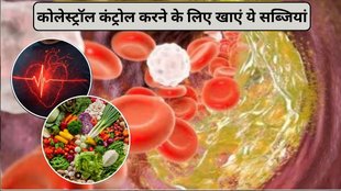 Cholesterol reduction vegetables, cholesterol reducing substances, causes and symptoms of bad cholesterol, foods to eat to increase good cholesterol, diet plan to reduce cholesterol immediately
