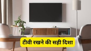 Vastu Tips, Vastu Shastra, टीवी रखने की सही दिशा, वास्तु शास्त्र टीवी, गलत दिशा में टीवी के नुकसान, टीवी दिशा वास्तु टिप्स, टीवी की वास्तु अनुसार दिशा, vastu tips for TV placement, TV रखने की दिशा क्या होनी चाहिए, वास्तु दोष और टीवी, wrong TV direction as per Vastu, which direction to keep TV as per Vastu, TV placement Vastu rules, avoid placing TV in this direction, Vastu dosh due to wrong TV position, best direction for TV in living room Vastu, Vastu for electronic items
