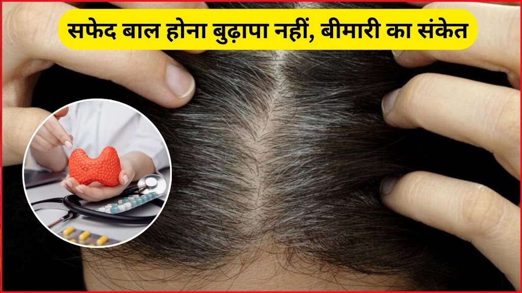 White Hair Problem, Hair Problem, grey hair, thyroid health, stress and grey hair, preventing grey hair, premature greying, nutrition and hair health