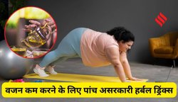 धीरे-धीरे नहीं, अब तेजी से घटेगी चर्बी! डॉक्टर ने बताया 1 हर्बल ड्रिंक जो मेटाबॉलिज्म बढ़ाकर टॉक्सिन करेगा बाहर, नोट करें विधि
