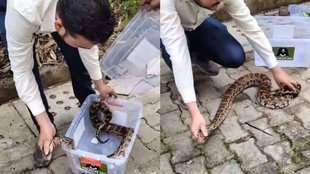 Viral Video, Trending Video, Trending News