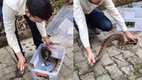 Viral Video, Trending Video, Trending News
