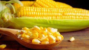 American Corn NEWS | latest news | india us trade deal | trump tariff controversy