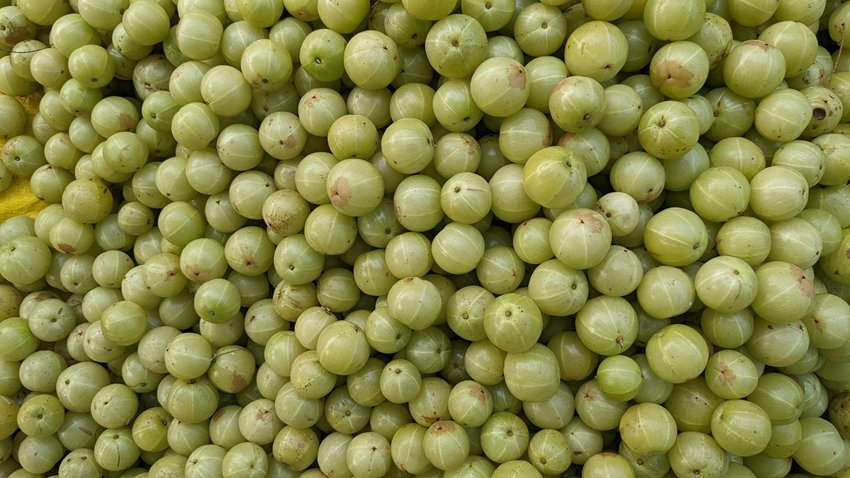 Amla for Hair Hidden Dangers and How to Use It Safely