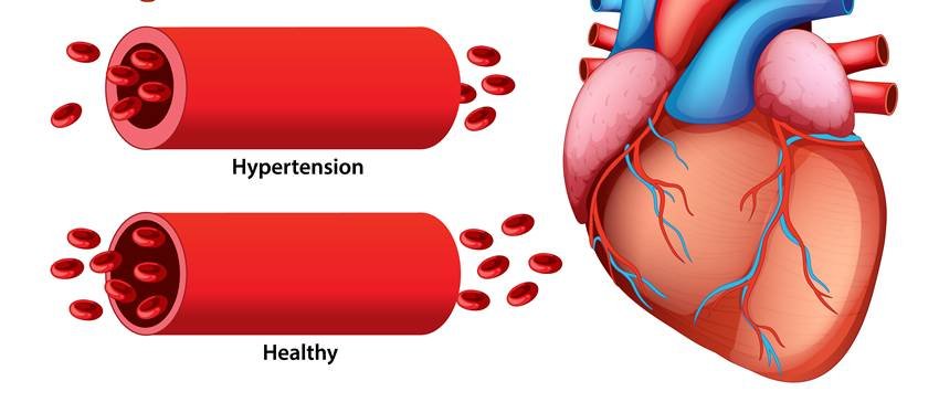 Amla turmeric heart benefits
