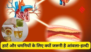 Amla turmeric Shot clean Heart Naturaly