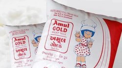 दूध होने जा रहा सस्ता? 22 सितंबर से दाम कम होंगे या नहीं, अमूल के एमडी ने बताया सच