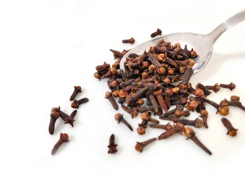 Ayurvedic Home Remedies Every Indian Must Know for Emergencies