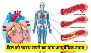 Ayurvedic remedies for strength