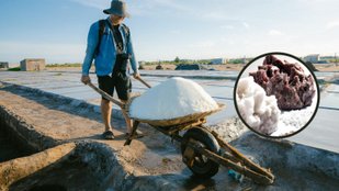 Bamboo salt price in India