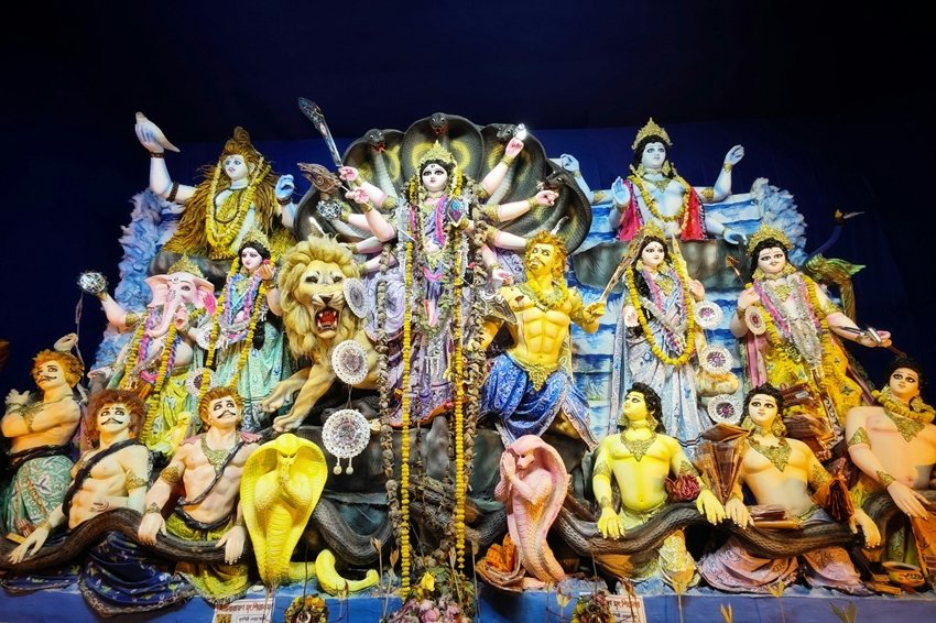Barley in Navratri Puja
