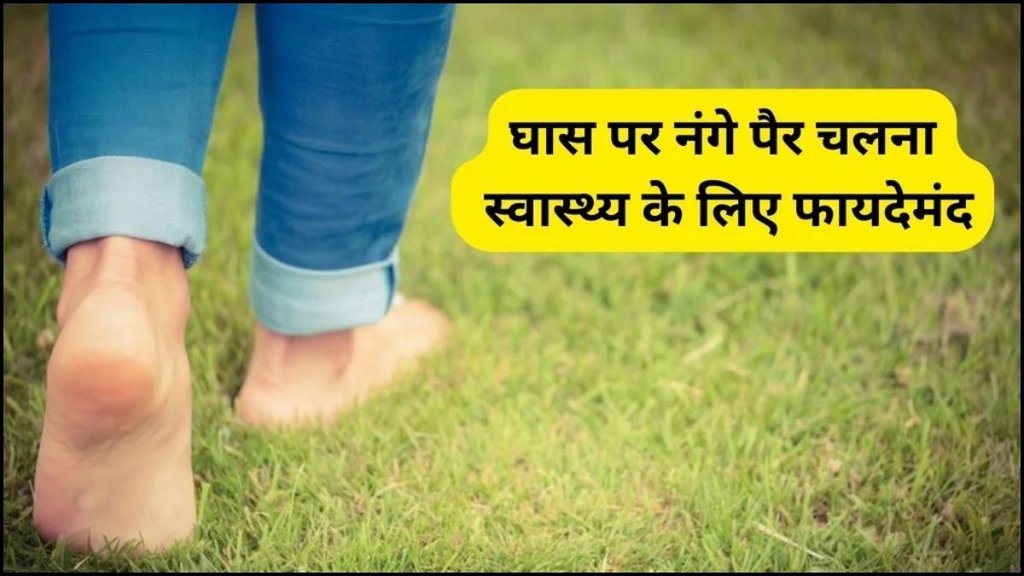 Benefits of walking on green grass in the morning, how to take a walk in morning, what time should you walk on green grass to calm your mind, suitable method of walking on green grass