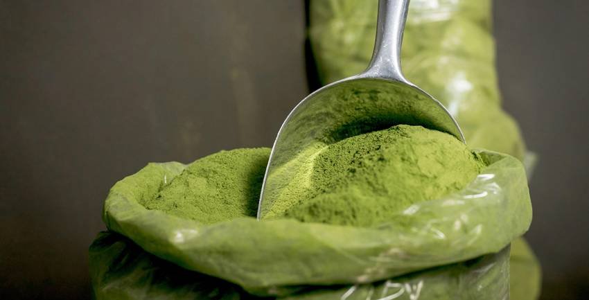 Health benefits of moringa leaves