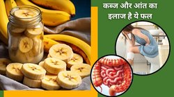 पाचन के लिए केला कैसा फल है? क्या 1 Banana क्रॉनिक कब्ज़ का इलाज कर सकता है? डॉक्टर से जानिये