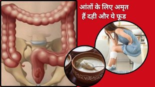 yogurt benefits,yogurt,superfoods for gut health,prebiotics in yogurt,pomegranate and yogurt,mixing yogurt with fruits and seeds,how to improve digestion
