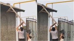 छत पर फंसी बिल्ली को महिला और बच्चे ने ऐसे बचाया, सीधा बाल्टी के अंदर किया रेस्क्यू, वायरल वीडियो देख लोगों ने की तारीफ