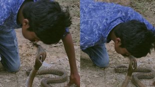 Cobra Viral Video, Viral Video, Trending Video