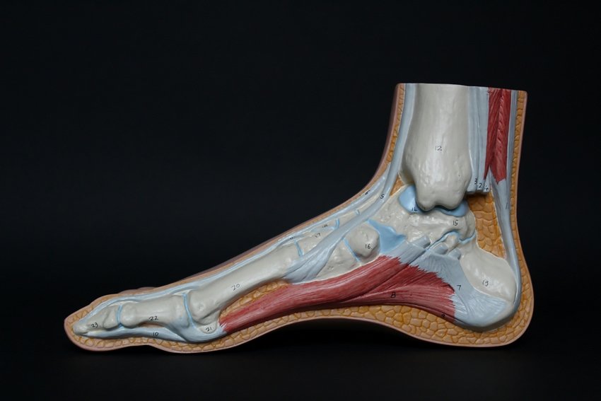 Common Reasons for Heel Pain