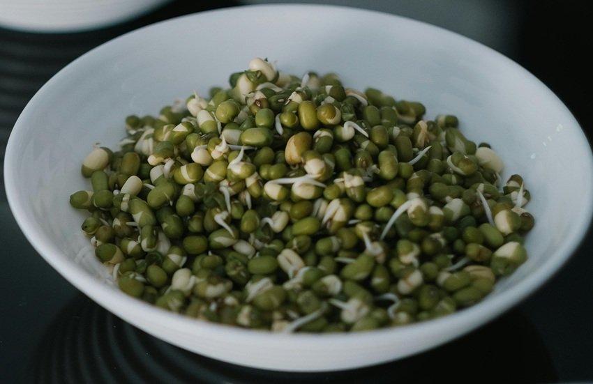 Diabetes-Friendly Snacks That Keep Blood Sugar in Check
