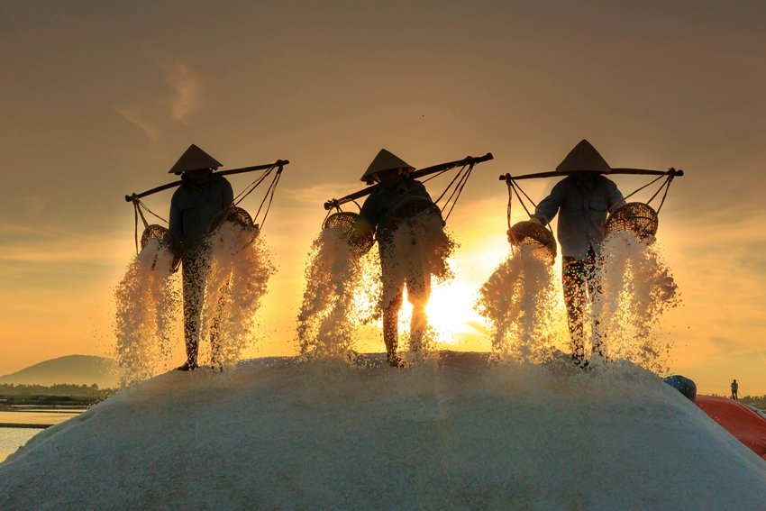 Discover Korean Bamboo Salt