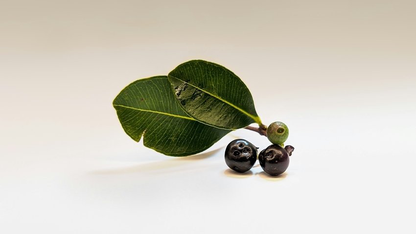 Eat This Fruit Daily to Prevent Kidney Stones