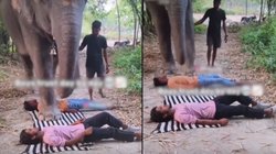 विशालकाल हाथी के सामने लेट गए लड़के, धीरे-धीरे बढ़ने लगा गजराज और फिर जो हुआ, Viral Video देख यूजर्स बोले – भाई इतना ज्यादा ट्रस्ट कैसे