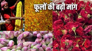Ghazipur Flower Market, Flower Prices, Navratri Flowers, Diwali Flowers