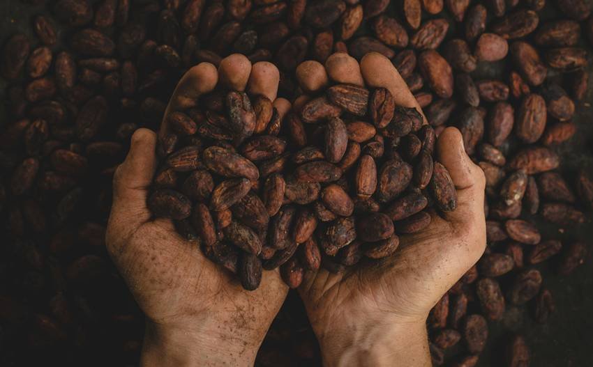 best foods for longevity