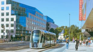 Free public transport