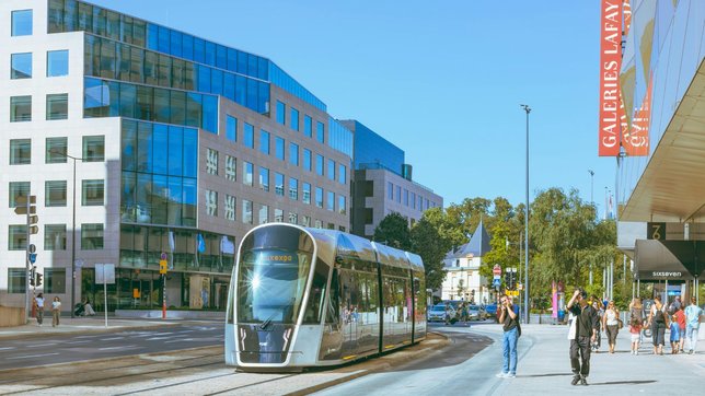 Free public transport