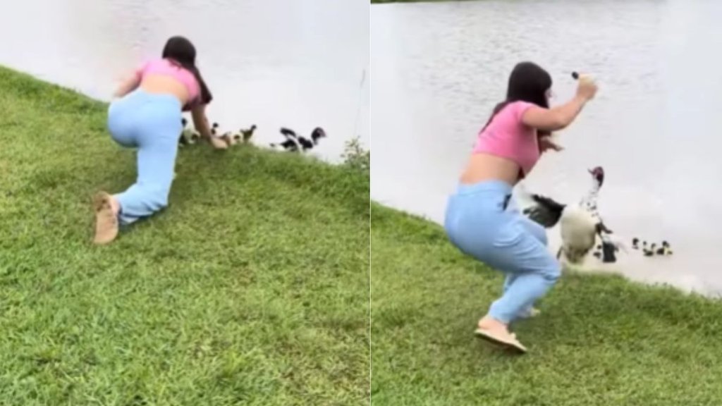 Funny Viral Video, Viral Video, trending Video