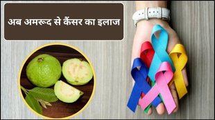 affordable cancer treatment, cancer treatment, University of Delaware, cancer effective therapy, liver cancer, natural product total synthesis, liver cancer survival rates