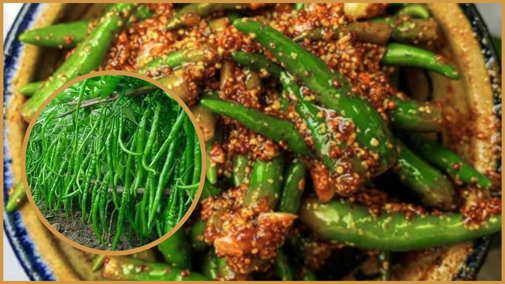 green chilli, Hari Mirch Ka Achaar, green chilli pickle, rajasthani hari mirch ka achar