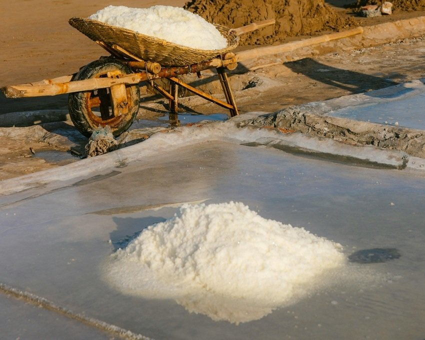 Health Benefits of Bamboo Salt