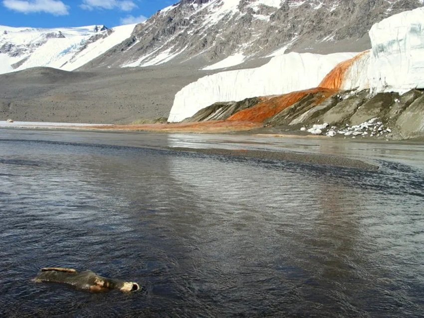 Hidden Ancient Ecosystem Beneath the Antarctic Glacier