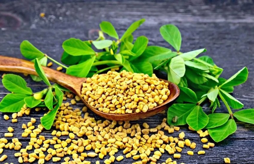 How Common Kitchen Herbs Improve Heart and Gut Health