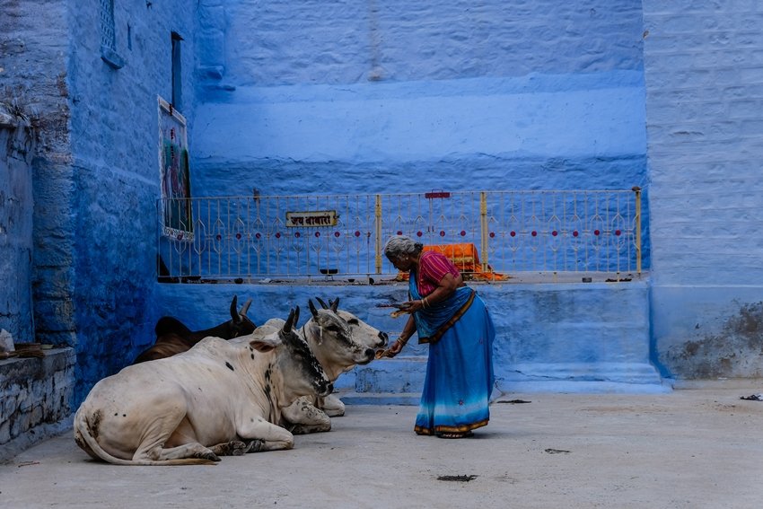 How One Simple Ritual in Shraddh Days Can Bring Prosperity to Your Home
