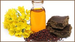 नकली सरसों के तेल की पहचान कैसे करें? इन 3 ट्रिक्स से मिनटों में चल जाएगा पता