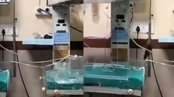 इंदौर के अस्पताल में चूहों के हमले के बाद दूसरी नवजात बच्ची की भी मौत, ICU में कहां से आए चूहे?