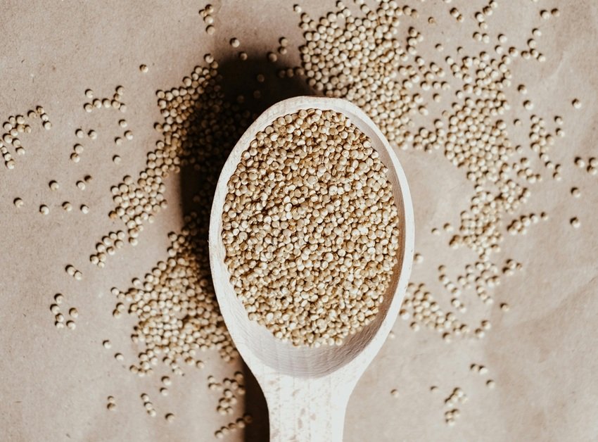 Iron-Rich Vegetarian Foods to Improve Blood Health