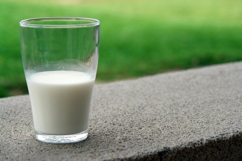 Is It Safe to Drink Milk on an Empty Stomach