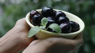 Jamun for diabetes and kidney stones
