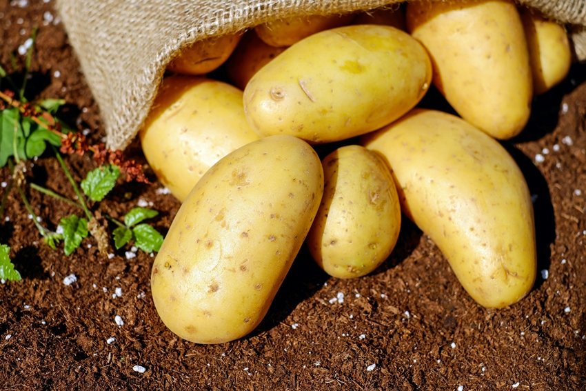 Keep Your Vegetables Fresh Longer with These Simple Storage Tips