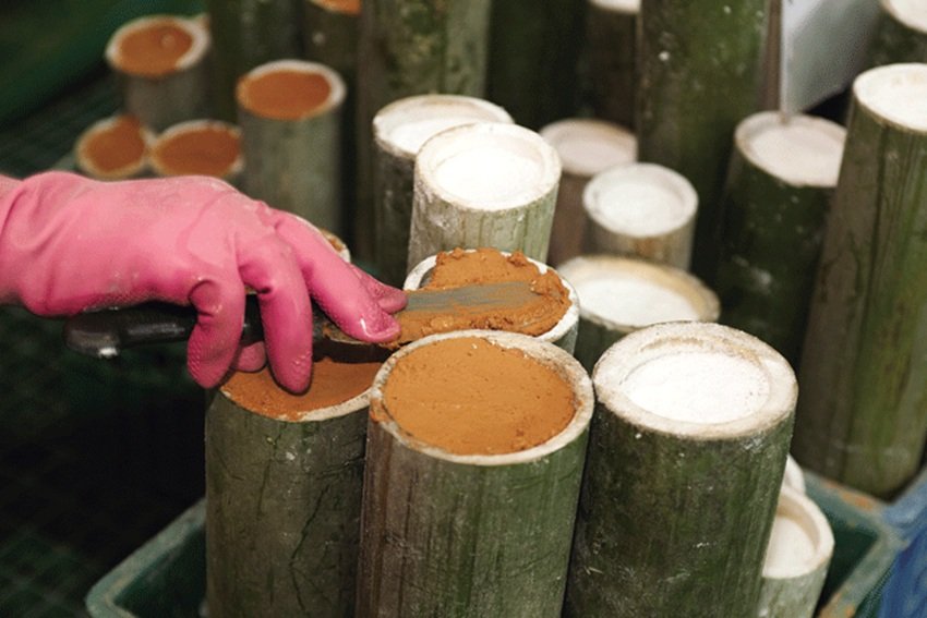Korean Bamboo Salt