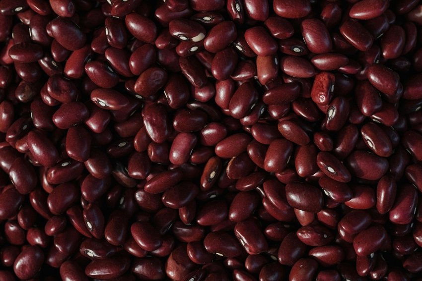 Legumes