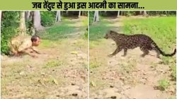 तेंदुए को देख डरा नहीं यह आदमी, दिमाग लगाकर किया उसका सामना; रौंगटे खड़े कर देगा वायरल वीडियो