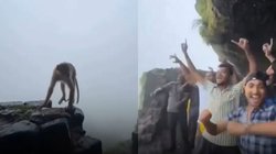 लड़कों ने बंदर को नाचने पर कर दिया मजबूर, किया इतना ज्यादा मोटिवेट उछल-उछल कर डांस करने लगे ‘मोंकेश भाई’, देखें मजेदार Viral Video