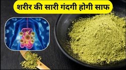 शरीर के लिए वरदान है मोरिंगा पाउडर, एक्सपर्ट से जानिए फायदे और खाने का सही तरीका